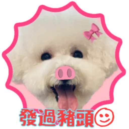 cookie賀年 - Sticker 16
