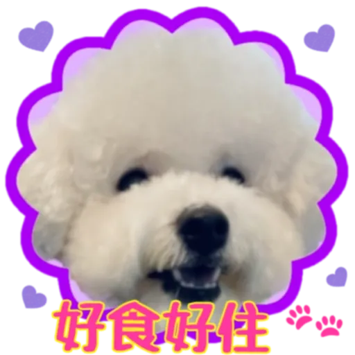 cookie賀年 - Sticker 13