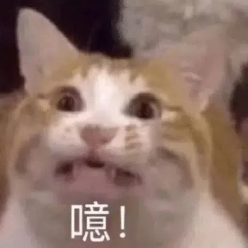 一大堆喵咪表情包2 - Sticker 18