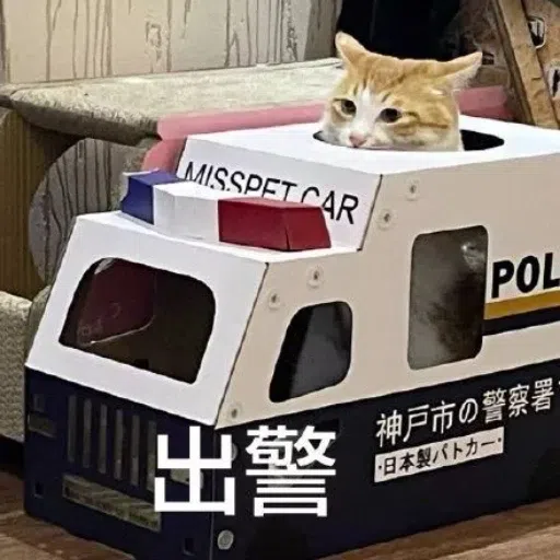 一大堆喵咪表情包2 - Sticker 9