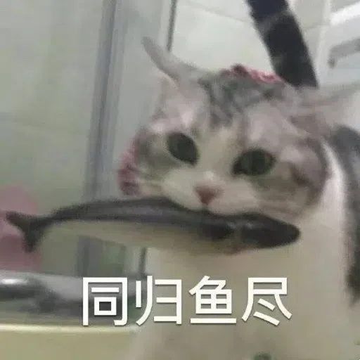 一大堆喵咪表情包2 - Sticker 23