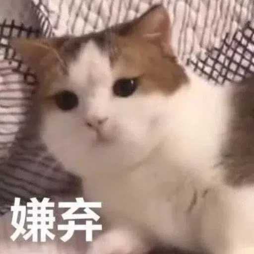 一大堆喵咪表情包2 - Sticker 12