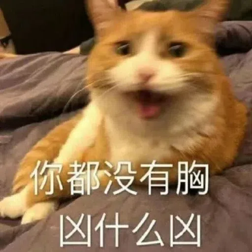 一大堆喵咪表情包2 - Sticker 19