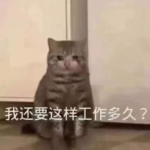 一大堆喵咪表情包2 - Sticker 22
