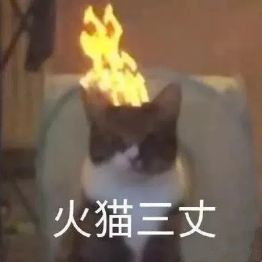 一大堆喵咪表情包2 - Sticker 26