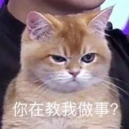 一大堆喵咪表情包2 - Sticker 27
