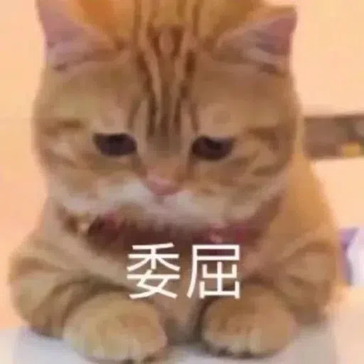 一大堆喵咪表情包2 - Sticker 20