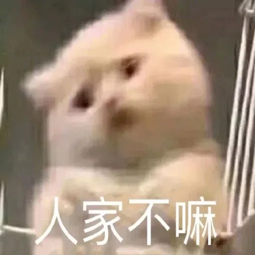 一大堆喵咪表情包2 - Sticker 24