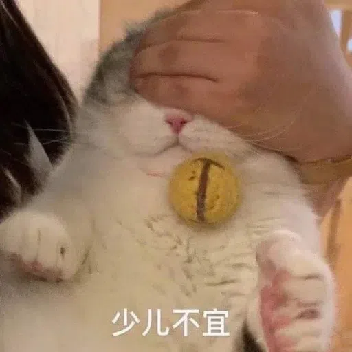 一大堆喵咪表情包2 - Sticker 13