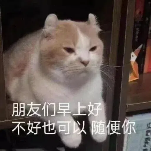 一大堆喵咪表情包2 - Sticker 14