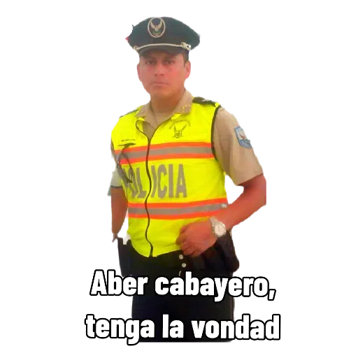 GATOS - Sticker 22