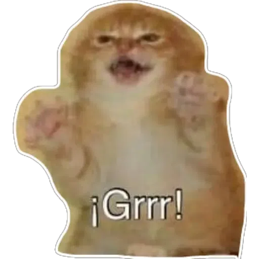 GATOS - Sticker 18