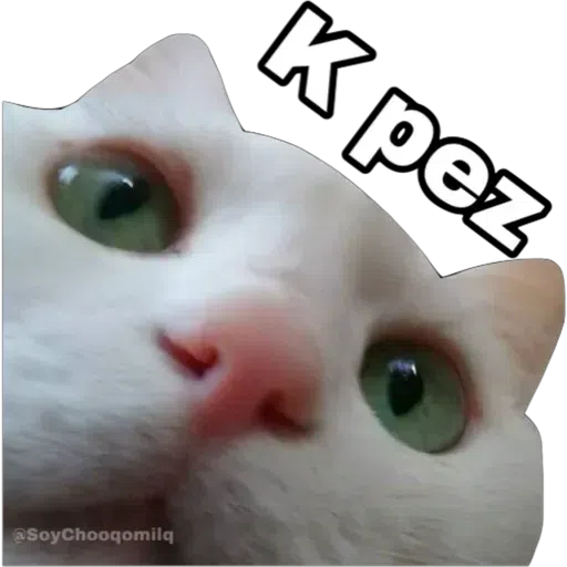 GATOS - Sticker 10