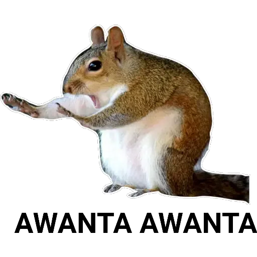 GATOS - Sticker 12