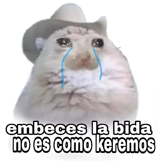 GATOS - Sticker 17