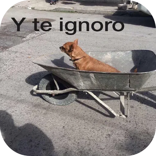 GATOS - Sticker 24