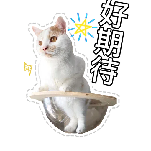 Cute cat - Sticker 14