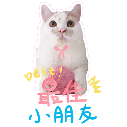 Cute cat - Sticker 10