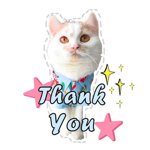 Cute cat - Sticker 13