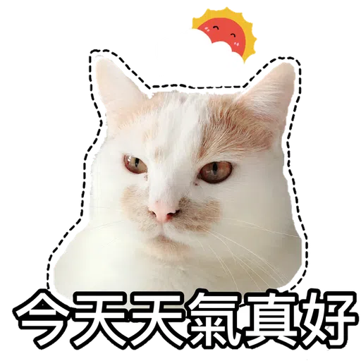 Cute cat - Sticker 12