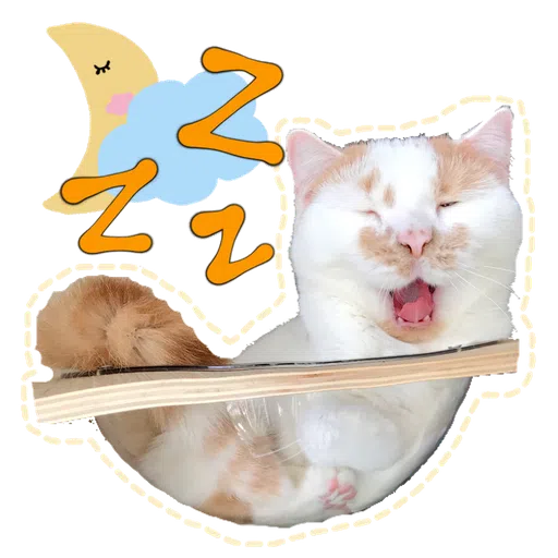 Cute cat - Sticker 11