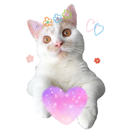 Cute cat - Sticker 9