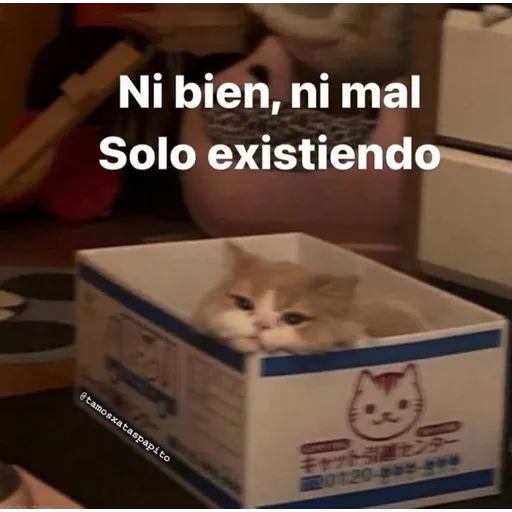 Memini 7 - Sticker 22