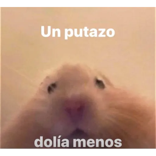 Memini 7 - Sticker 21