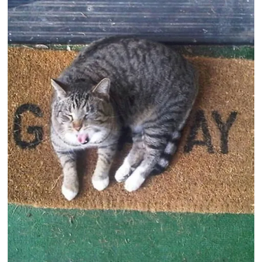 memez - Sticker 12