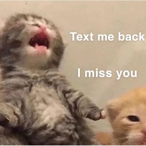 memez - Sticker 22