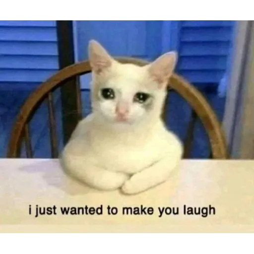 memez - Sticker 19