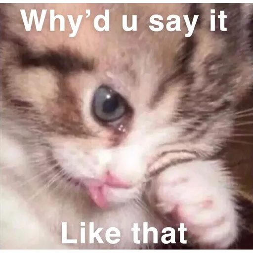 memez - Sticker 24