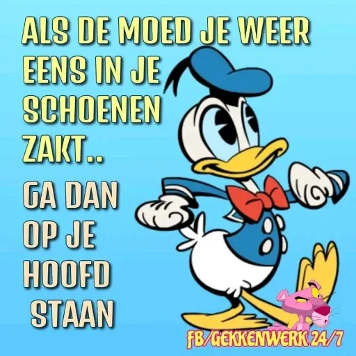 bgdyh - Sticker 19