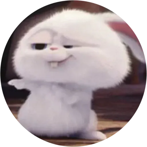 Pompón - Sticker 14