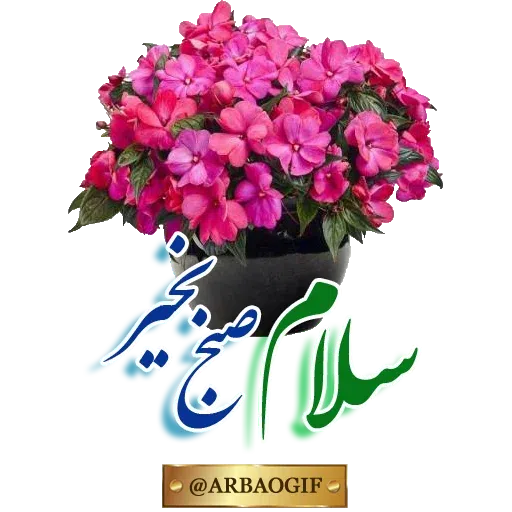 Vaght - Sticker