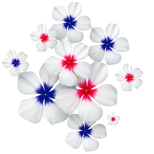 Flower - Sticker 17