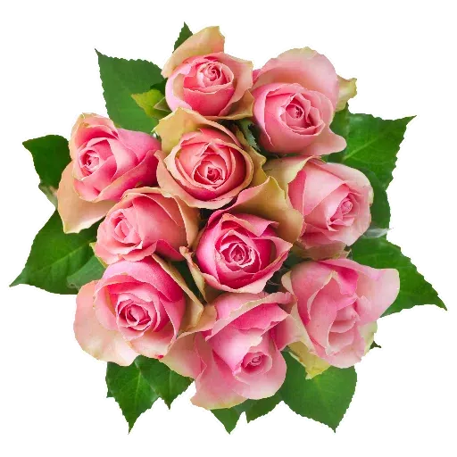 Flower - Sticker 9