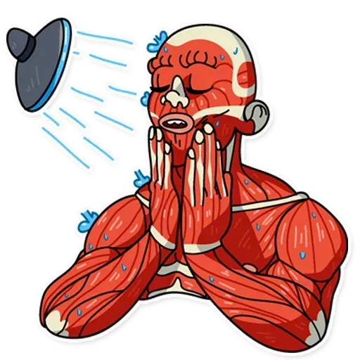 Muscle Body - Sticker 18