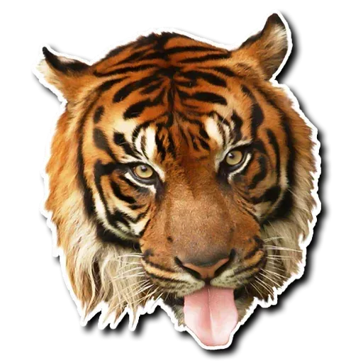 Tiger - Sticker 9