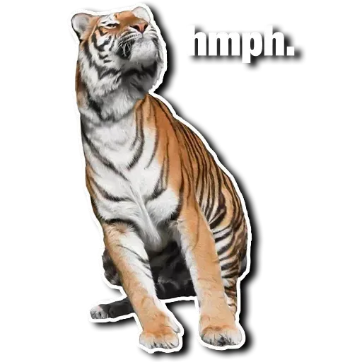 Tiger - Sticker 11