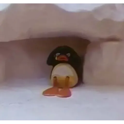 pingu - Sticker 16