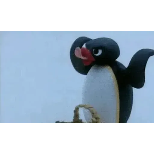 pingu - Sticker 20