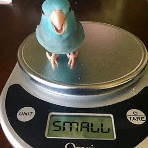Barrot 4 - Sticker 18