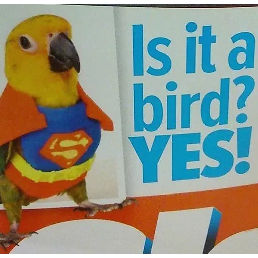 Barrot 4 - Sticker 24