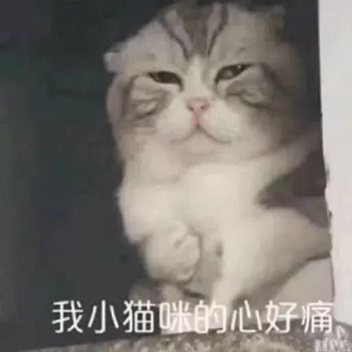 一大堆喵咪表情包 - Sticker 10