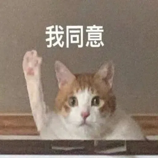 一大堆喵咪表情包 - Sticker 29