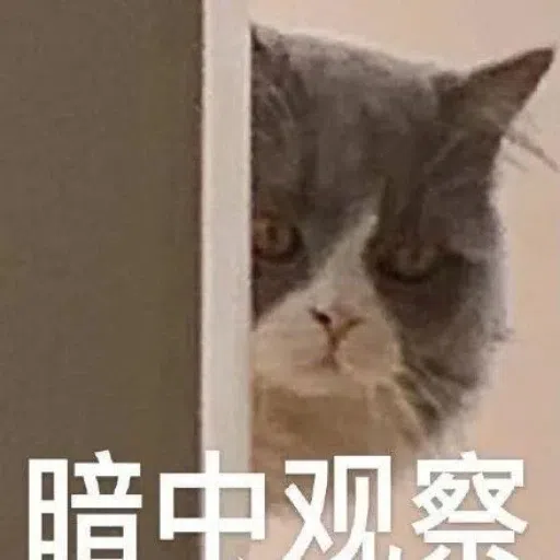 一大堆喵咪表情包 - Sticker 30
