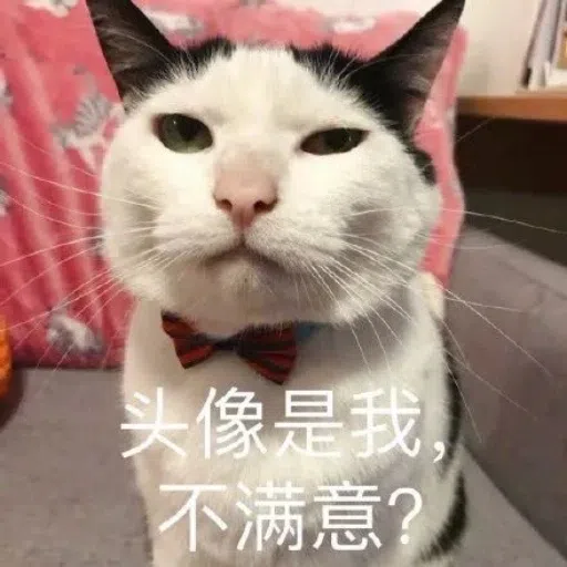 一大堆喵咪表情包 - Sticker 12