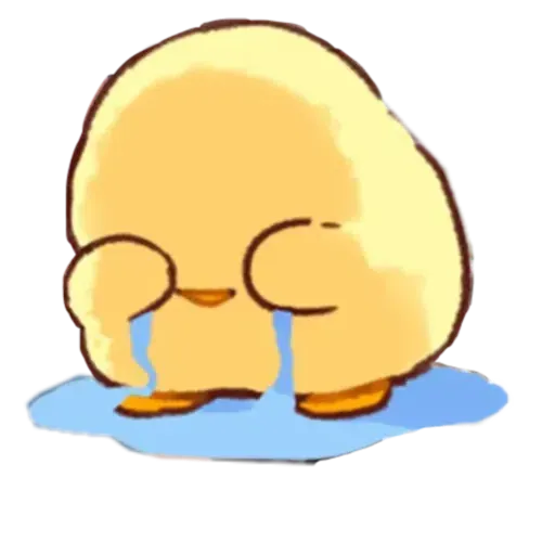 Pollito - Sticker 9