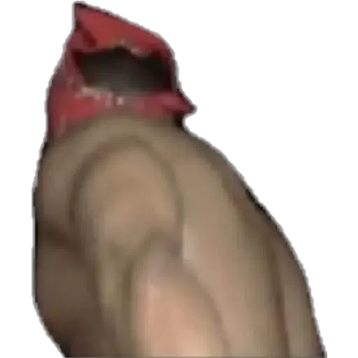 momos-1 - Sticker 12